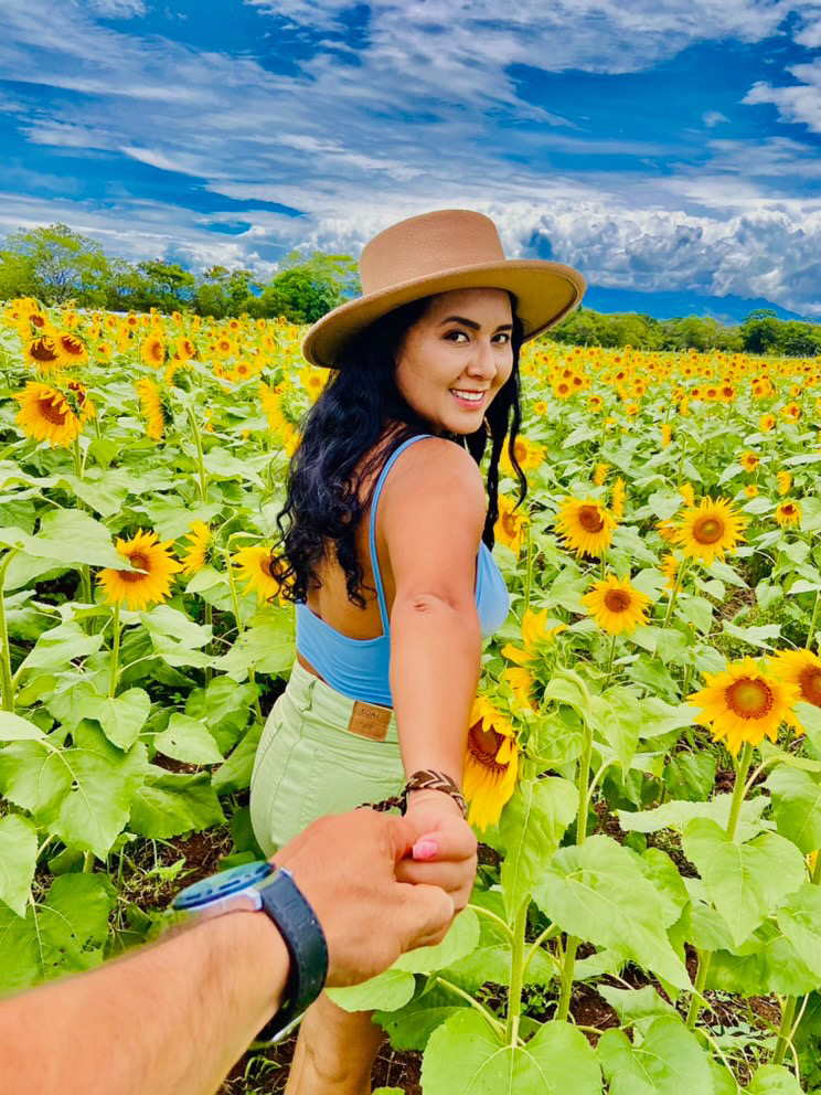 Campo De Girasoles Atractivo Tur Stico San Martin Meta